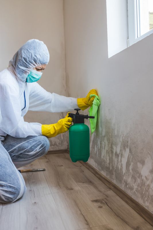 Basement Mold Remediation in West Palm Beach, FL