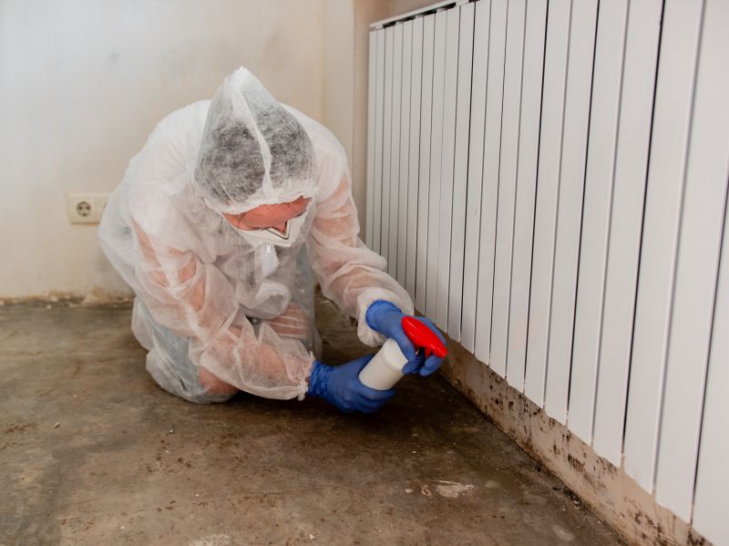 Basement Mold Remediation in West Palm Beach, FL