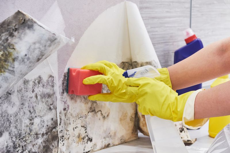 Basement Mold Removal in West Palm Beach, FL