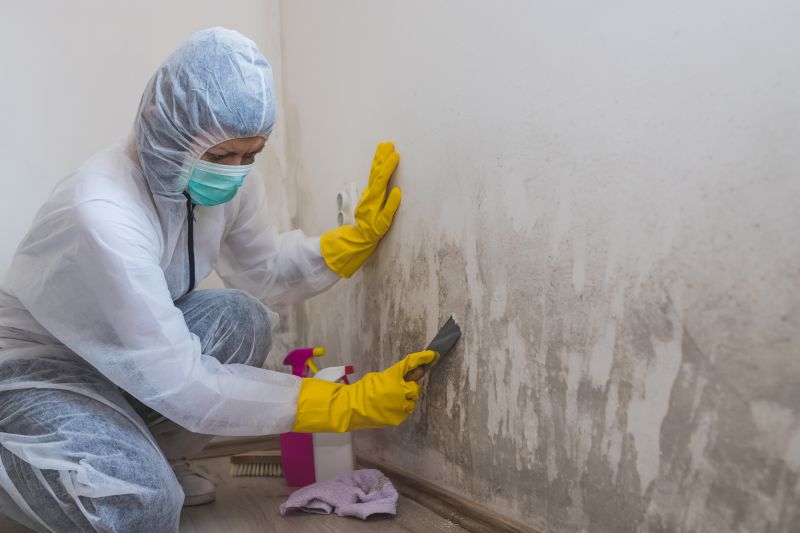 Crawlspace Mold Remediation in West Palm Beach, FL
