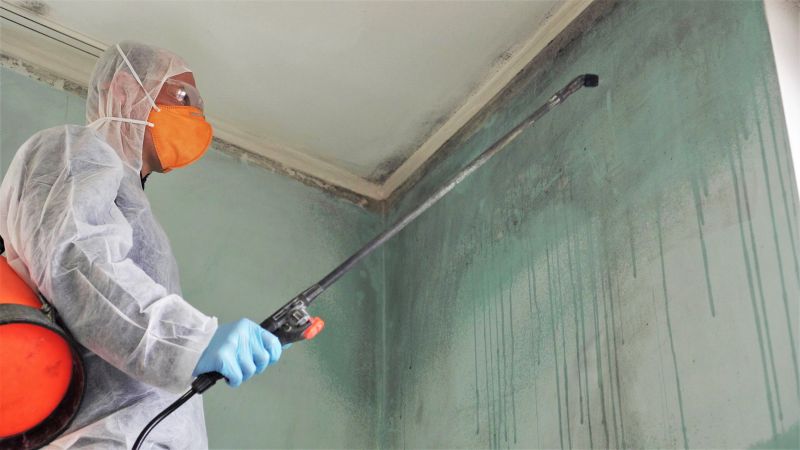 Crawlspace Mold Remediation in West Palm Beach, FL