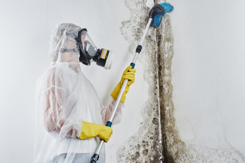 Crawlspace Mold Remediation in West Palm Beach, FL