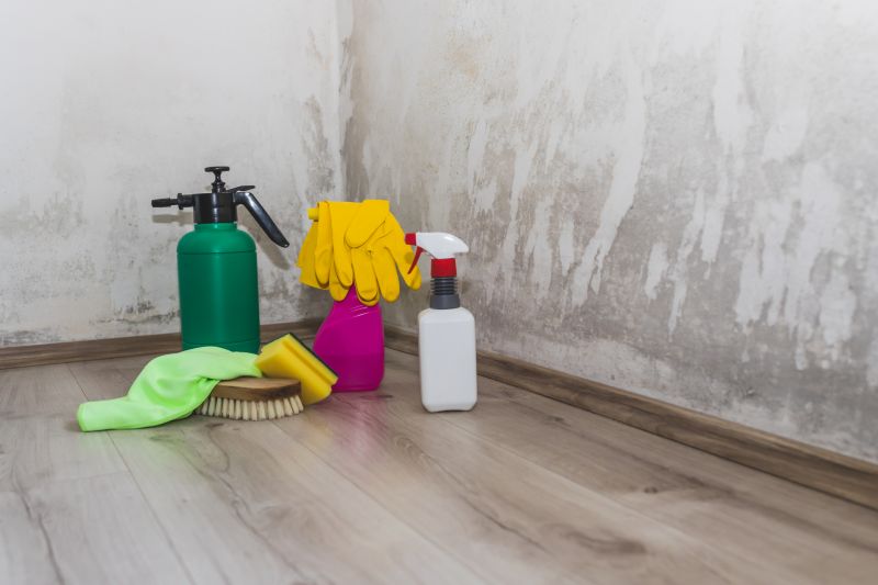 Mold Abatement Service in West Palm Beach, FL