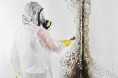 Mold Inspection And Removal in Bergen County, NJ