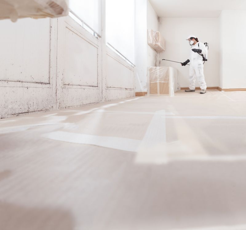 Mold Removal in Bergen County, NJ