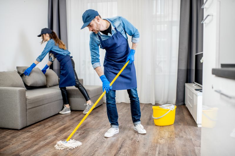 Reo Property Cleaning in Renton, WA
